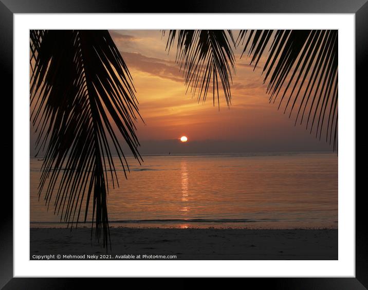 Sunrise Palm Leaves Framed Mounted Print by Mehmood Neky