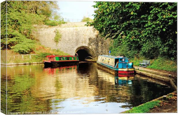Chirk Canal Tunnel Llangollen  Canvas Print by Diana Mower