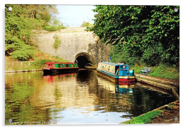 Chirk Canal Tunnel Llangollen  Acrylic by Diana Mower