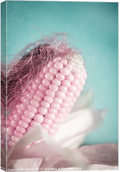 Pink Corn Canvas Print by