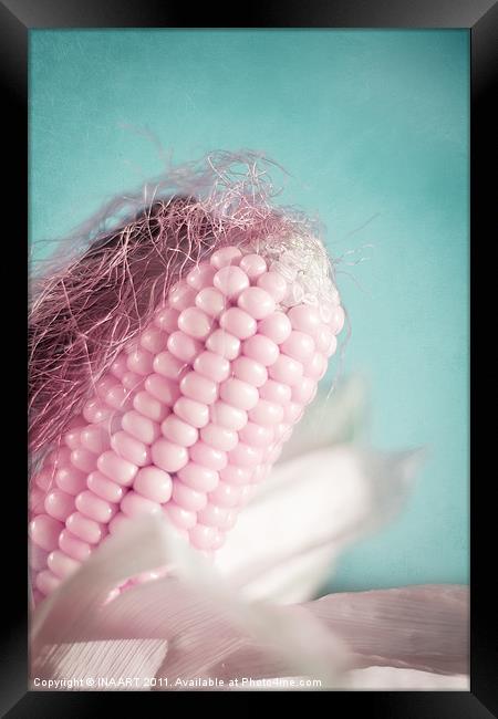 Pink Corn Framed Print by
