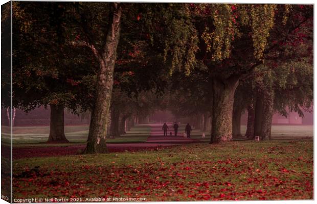 A walk in the park Canvas Print by Neil Porter