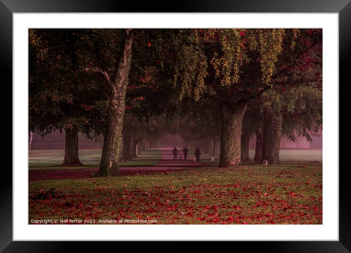A walk in the park Framed Mounted Print by Neil Porter