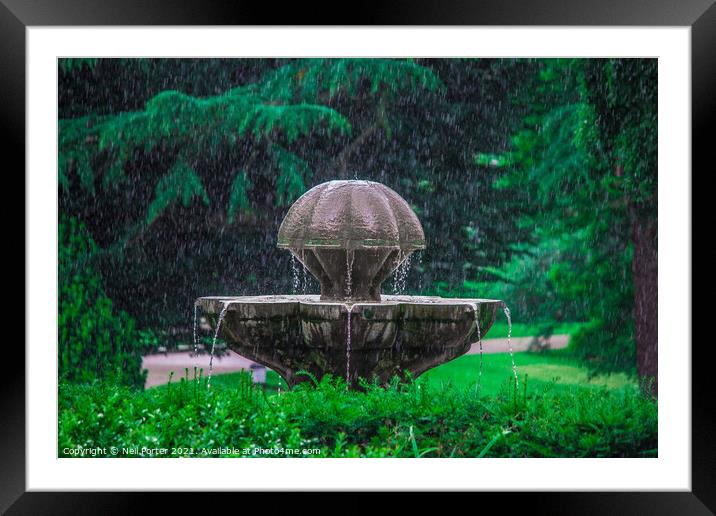 Downpour Framed Mounted Print by Neil Porter