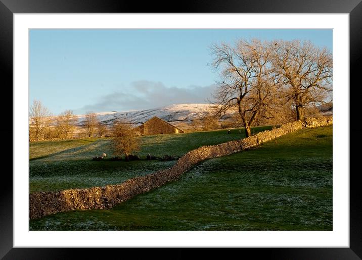 Dry stone wall Framed Mounted Print by Angela Lee