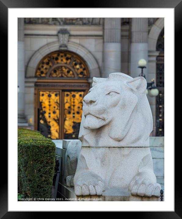 Lion at the Glasgow Cenotaph in Glasgow, Scotland Framed Mounted Print by Chris Dorney