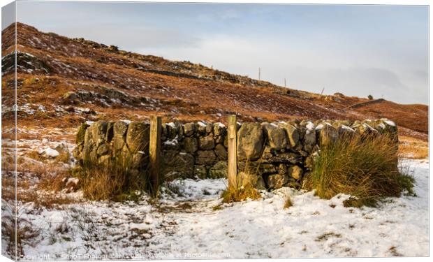 An old snow covered scottish drystone dyke sheep fold in winter, Scotland Canvas Print by SnapT Photography