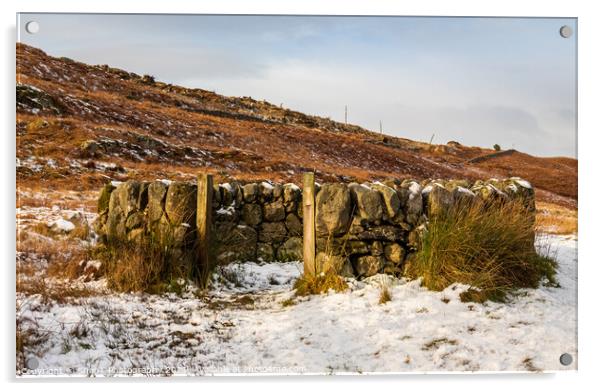 An old snow covered scottish drystone dyke sheep fold in winter, Scotland Acrylic by SnapT Photography