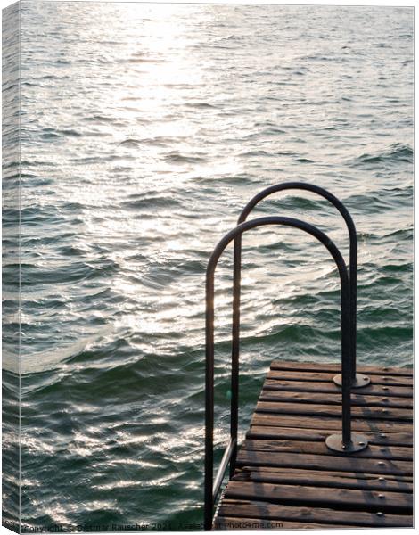 Swimming Ladder on a Jetty on Lake Garda Canvas Print by Dietmar Rauscher