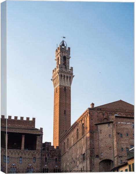 Torre del Mangia Tower in Siena, Italy Canvas Print by Dietmar Rauscher