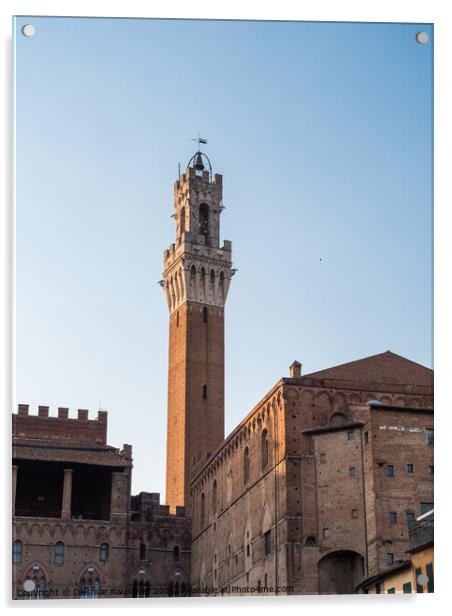 Torre del Mangia Tower in Siena, Italy Acrylic by Dietmar Rauscher