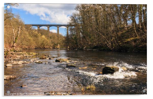 River Dee and Pontcysyllte Aqueduct Acrylic by Pearl Bucknall