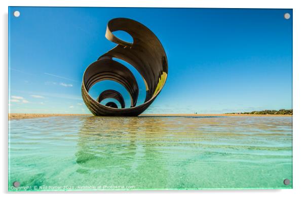 Seashell on the Sea Shore Acrylic by Neil Porter