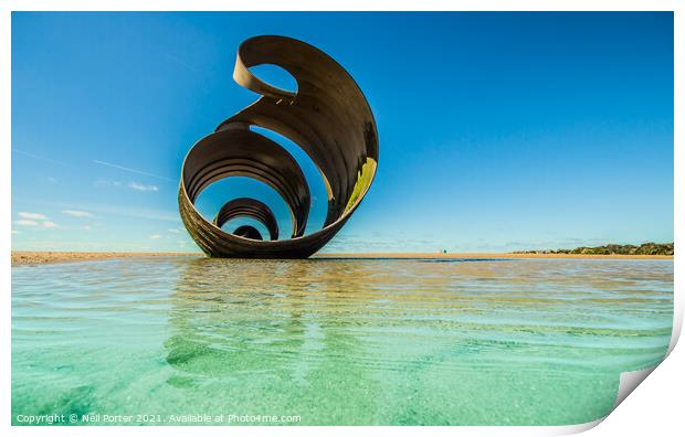 Seashell on the Sea Shore Print by Neil Porter