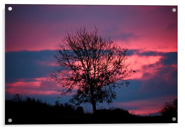 Sunrise cloud  Acrylic by Simon Johnson