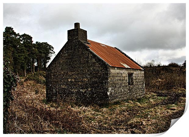 Forgotten House , Ireland Print by julie williams