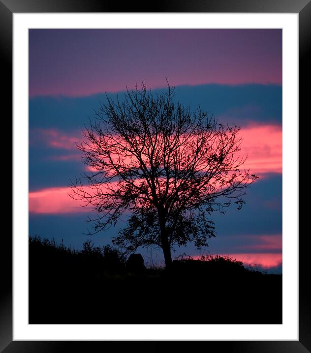 Tree and sunrise cloud Framed Mounted Print by Simon Johnson