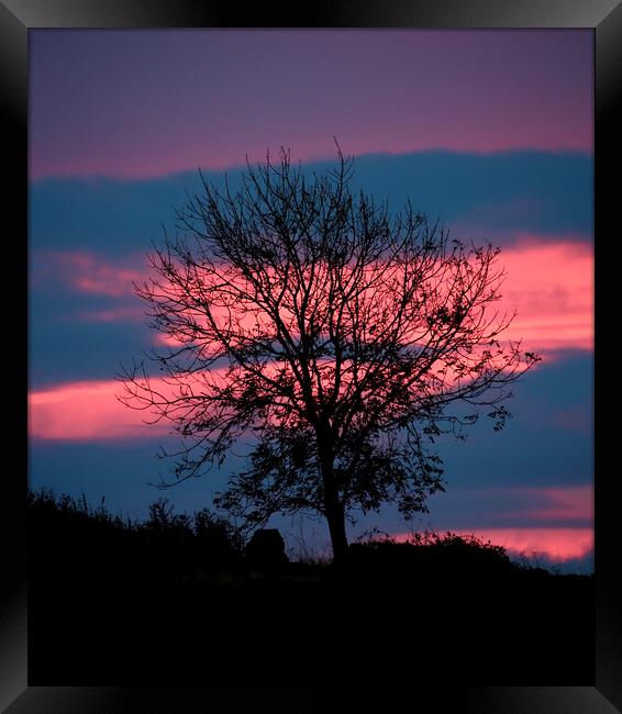 Tree and sunrise cloud Framed Print by Simon Johnson