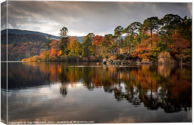 Friars Crag in Autumn Canvas Print by Ray Pritchard
