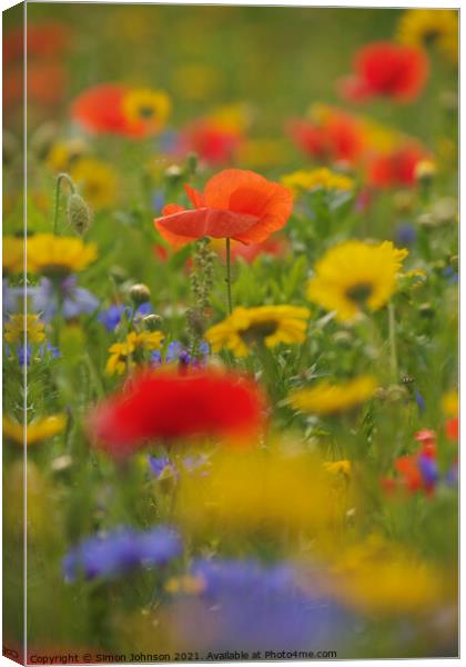 Poppy and meadow flowers Canvas Print by Simon Johnson