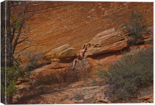 Nude in the Canyon Canvas Print by Amy Rogers