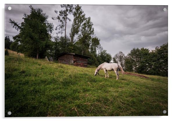 A white horse grazing in a grass field farm meadow next to a barn in a countryside location against dark clouds. Acrylic by Arpan Bhatia