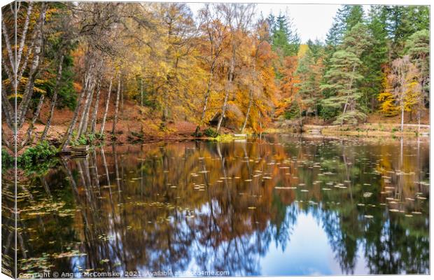 Autumn colours on Loch Dunmore, Faskally Forest Canvas Print by Angus McComiskey