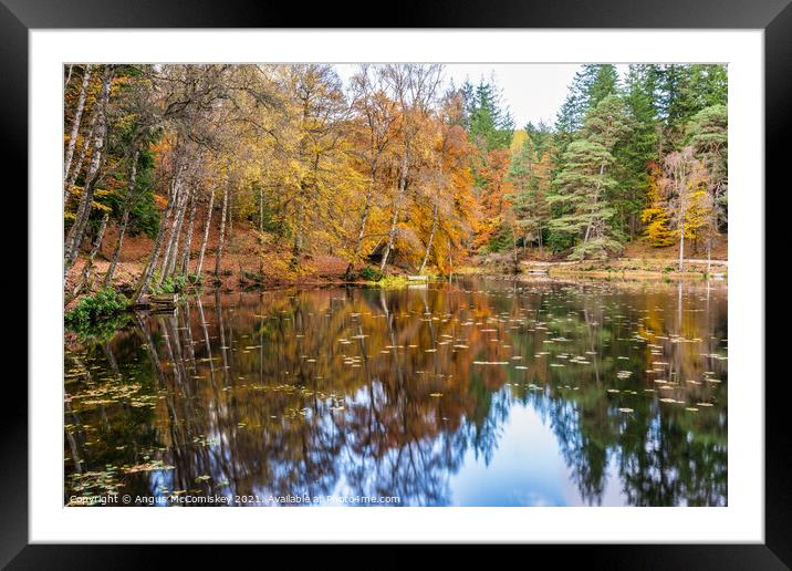 Autumn colours on Loch Dunmore, Faskally Forest Framed Mounted Print by Angus McComiskey