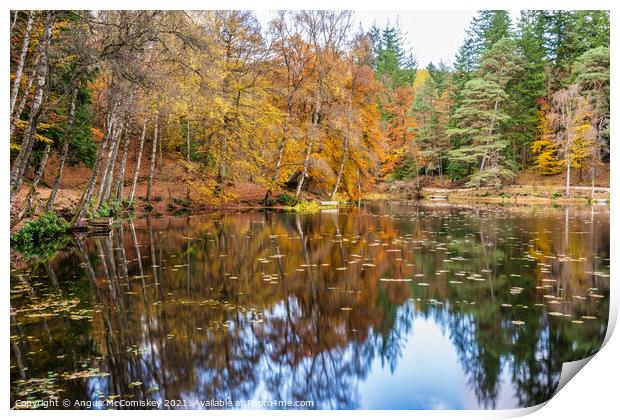 Autumn colours on Loch Dunmore, Faskally Forest Print by Angus McComiskey