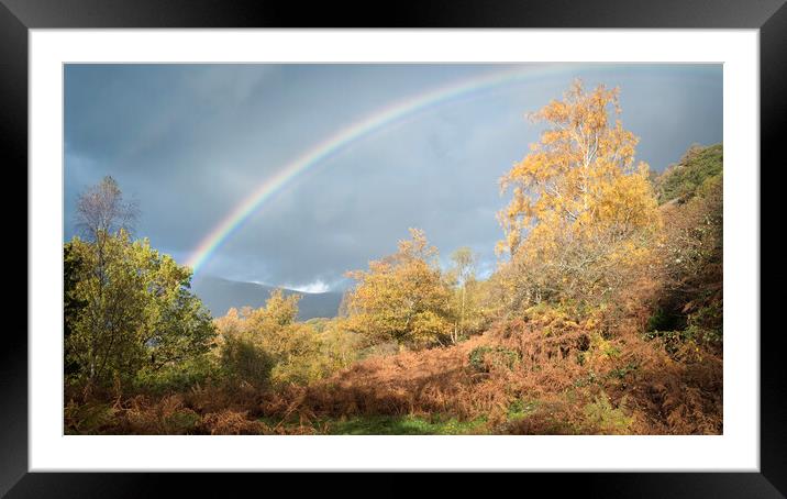 Autumn Rainbow Framed Mounted Print by David Semmens