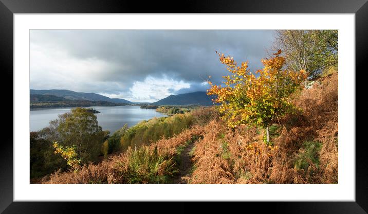 The Path to Derwent Water Framed Mounted Print by David Semmens