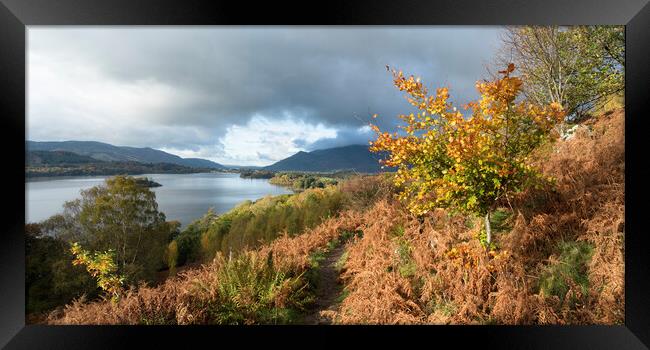 The Path to Derwent Water Framed Print by David Semmens