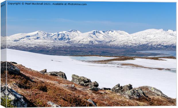Arctic Tundra and Snow-capped Mountains in Norway Canvas Print by Pearl Bucknall