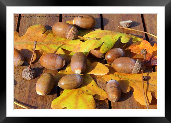 Acorn and oak leaves on a wooden table Framed Mounted Print by aurélie le moigne