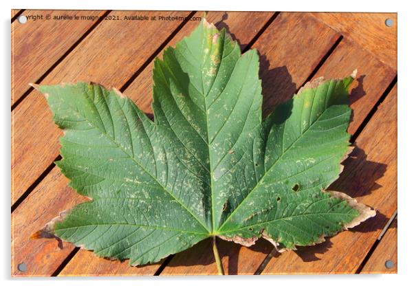 Maple leaf on a wooden table Acrylic by aurélie le moigne