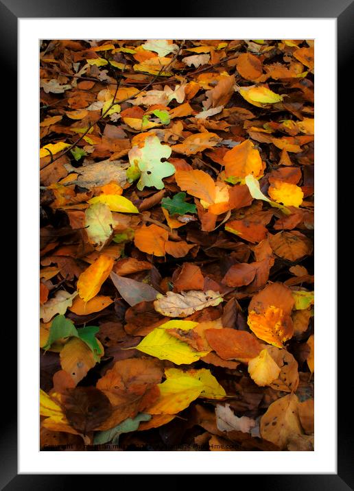 Autumn leaves Framed Mounted Print by christian maltby