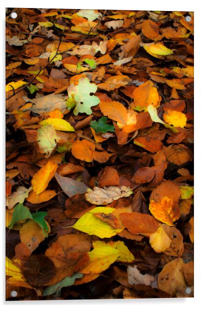 Autumn leaves Acrylic by christian maltby