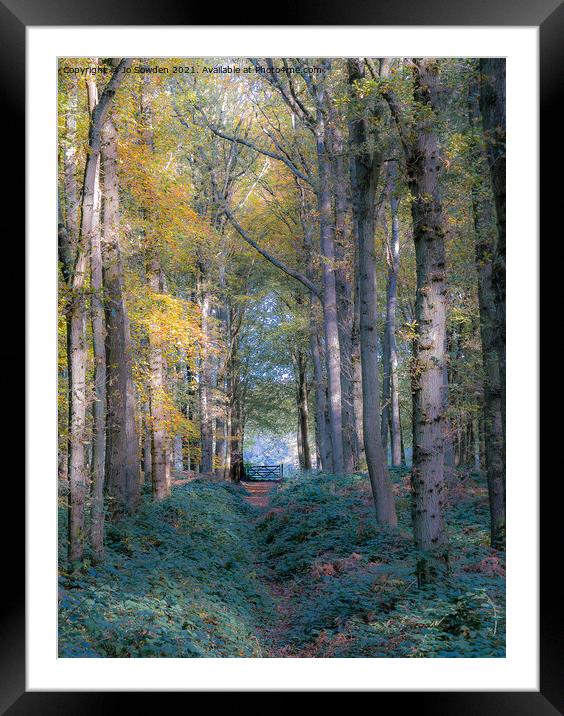 Autumn Sunlight Framed Mounted Print by Jo Sowden