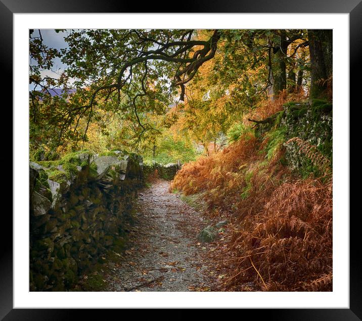 Autumn Lake District path Framed Mounted Print by Ceri Jones