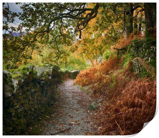 Autumn Lake District path Print by Ceri Jones