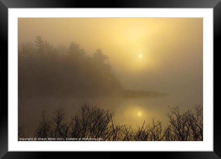 Misty Morning Framed Mounted Print by Shaun White