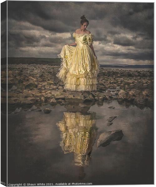 The Dress Canvas Print by Shaun White