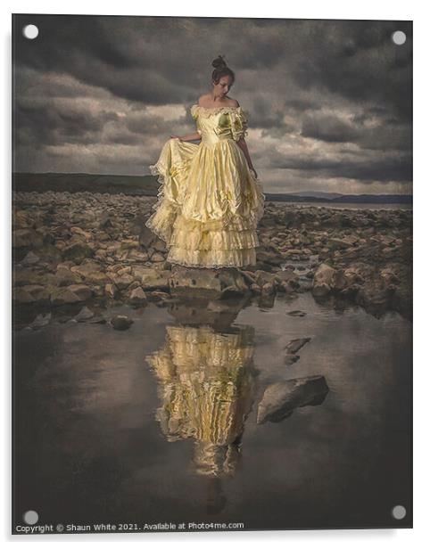 The Dress Acrylic by Shaun White