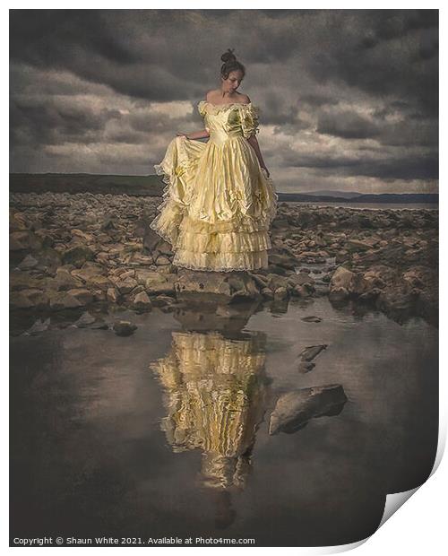 The Dress Print by Shaun White
