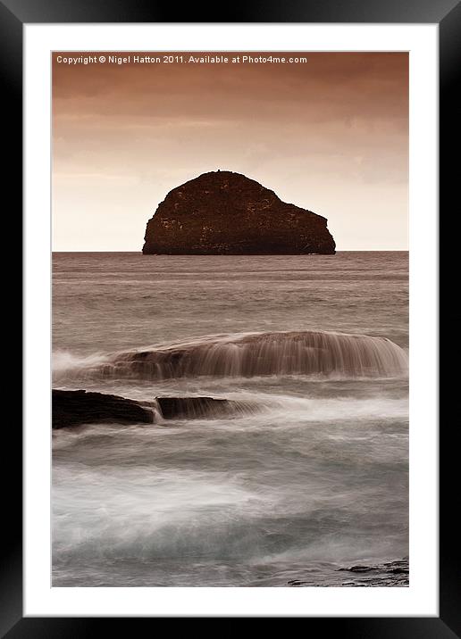 Gull Rock Framed Mounted Print by Nigel Hatton