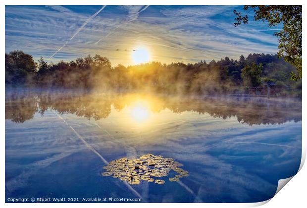 Moors Valley Print by Stuart Wyatt