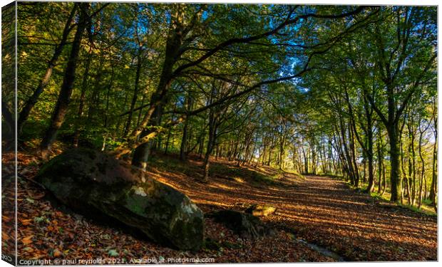 Autumn at Margam woods Canvas Print by paul reynolds
