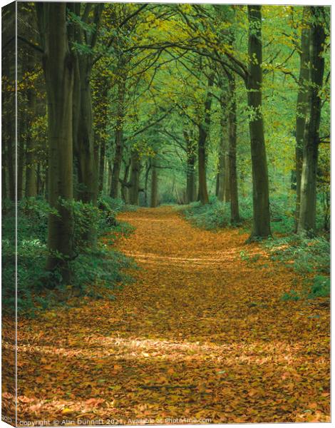 Autumn path Canvas Print by Alan Dunnett