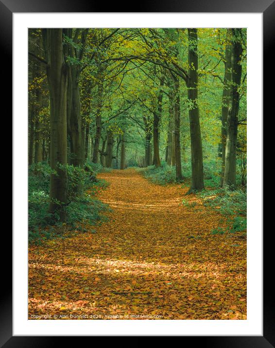 Autumn path Framed Mounted Print by Alan Dunnett