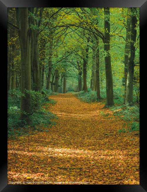 Autumn path Framed Print by Alan Dunnett